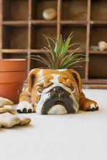 Decorative Ceramic Bulldog Planter – 4" Tall Accent Pot Set of 2 by Kalalou