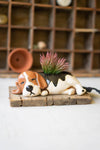 Ceramic Beagle Planter – 3" Tall Decorative Dog Pot by Kalalou