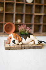 Cute Ceramic Beagle Planter – 3" Tall Decorative Pot Set of 2 by Kalalou