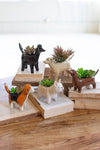 Whimsical Ceramic Dog Planters – Set of Five