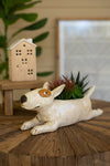 Ceramic Bull Terrier Planter – 5.5" Tall