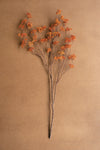 Dried floral branch with orange flowers on a brown background