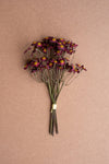 Artificial Chamomile Bundle – 10" Tall Burgundy Decorative Accent