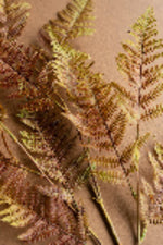 40 inch artificial fern branch by Kalalou