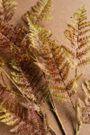 40 inch artificial fern branch by Kalalou