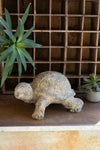 Faux Concrete Resin 9" Turtle Figurine – Outdoor Garden Décor Accent – Yard Art by Kalalou