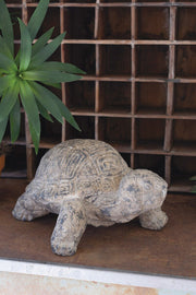 Close-up textured turtle décor