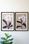 Black Framed Flower Prints Under Glass – Set of Two Botanical Wall Art by Kalalou