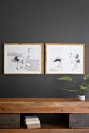 Coastal Wall Art, Shore Bird Prints Under Glass – Set of Two by Kalalou