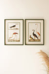 Colorful Birds Framed Wall Art Set