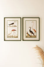 Birds Framed Wall Art Set – 21"H Wood & Glass Printed Bird Illustrations with Light Mattes (Set of 2) By Kalalou