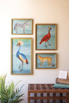 Framed Wildlife Prints Wall Art Set of 4