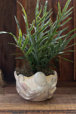 Ceramic Octopus Vase – 7" Tall Coastal Decorative Accent by Kalalou