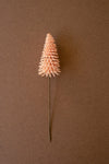 Artificial Mini Bottle Brush Floral Stem – Pink – 6" Height