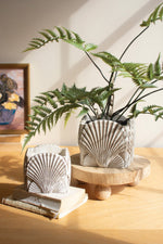 Cement Shell Planters 2x Set of 2 Coastal Inspired Design  5.5" Tall by Kalalou