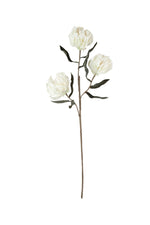 White Bloom Stem – 36"H Artificial Flower with Bendable Petals, EVA Foam & Wire Construction (Set of 6) by Kalalou
