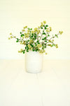 Bendable Green Stem Spray – 41 Inch
