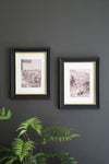 Two framed artworks on a dark gray wall with a plant in the foreground.