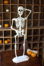 Skeleton on a Stand 24"H, Rustic White Metal, Distressed Painted Seasonal Decor By Kalalou