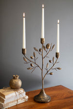 Antique Brass Fruit Tree Taper Candelabra 20" H Decorative Table Accent by Kalalou