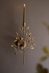 Antique brass fruit tree taper wall sconce