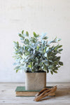 Potted plant on a stack of books with a wooden stick against a light background