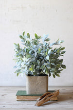 Faux Sage Bush in Matte Cement Pot Green Plant for Home or Office Set of 4 - 12"Tall by Kalalou