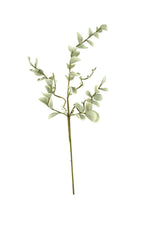 Eucalyptus-Like Leaf Stems 42"H Green EVA Foam & Wire Floral Arrangement – Bendable Spring Texture (Set of 6) By Kalalou