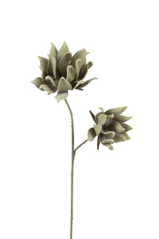 Decorative Botanical Stems with Artichoke Buds