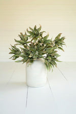 Spiky Green Floral Stem 38"H EVA Foam & Wire Botanical Accent – Bendable Faux Greenery (Set of 6) by Kalalou