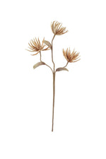 Soft Gold Spiky Floral Stem 38.5"H EVA Foam & Wire Botanical Accent – Flexible Faux Bloom (Set of 6) by Kalalou