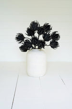 Botanica Stem Spray, 36"L Black Flexible EVA Floral Accent, Set of 6 By Kalalou