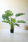 Faux Split Leaf Philodendron – 47" Tropical Plant