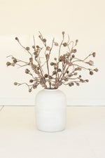 Botanica Curved Pod Branch 36" H Artificial Botanical Decor by Kalalou