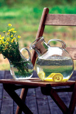 Small Glass Tilted Pitcher Vase 10"H, Clear Hand-Blown Transparent, Set of 2 By Kalalou