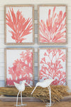 Tropical Wall Art – Coral Watercolor Prints in Wooden Frames