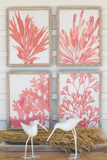 Coral Wall Art 16.5"H Red Distressed Wood Frames Tropical Design, Set of Four by Kalalou