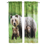 Photo Real Bears Light Filtering Pole Top Curtain Panel Pair each 37" x 84"