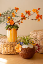 Ceramic Cocktail Inspired Vases 6"H – Glazed Multi-Color Coastal Decor 2X Set of 2 By Kalalou