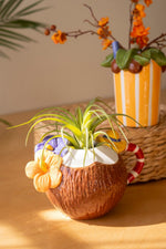 Coastal Decor Vases – Glazed Ceramic Cocktail Designs