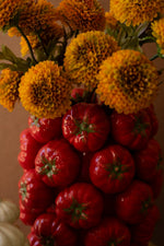Kalalou Tomato Ceramic Vase – 10.5