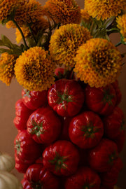 Kalalou Tomato Ceramic Vase – 10.5