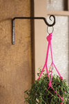 Rustic Hand-Forged Iron Plant Hook