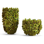 Two's Company CYC025-S2 Succulents Set of 2 Green Planter/Vase