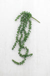 Artificial Necklace Fern Succulent – Hanging Faux Greenery by Kalalou