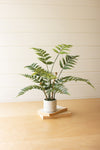 Artificial Fern 28 Inch – Plastic Leaves in Decorative Cement Pot