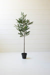 Artificial Eucalyptus Tree in Black Pot 41 Inch Tall