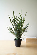 Faux Green Fern in Black Pot – 27" Tall Decorative Accent by Kalalou