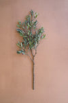 Artificial Olive Branch – 32" Tall Faux Greenery Stem by Kalalou