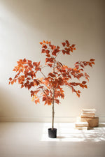 Artificial Autumn Birch Tree in Black Pot – 55" Tall by Kalalou